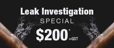 Leak Investigation Discount Manurewa East